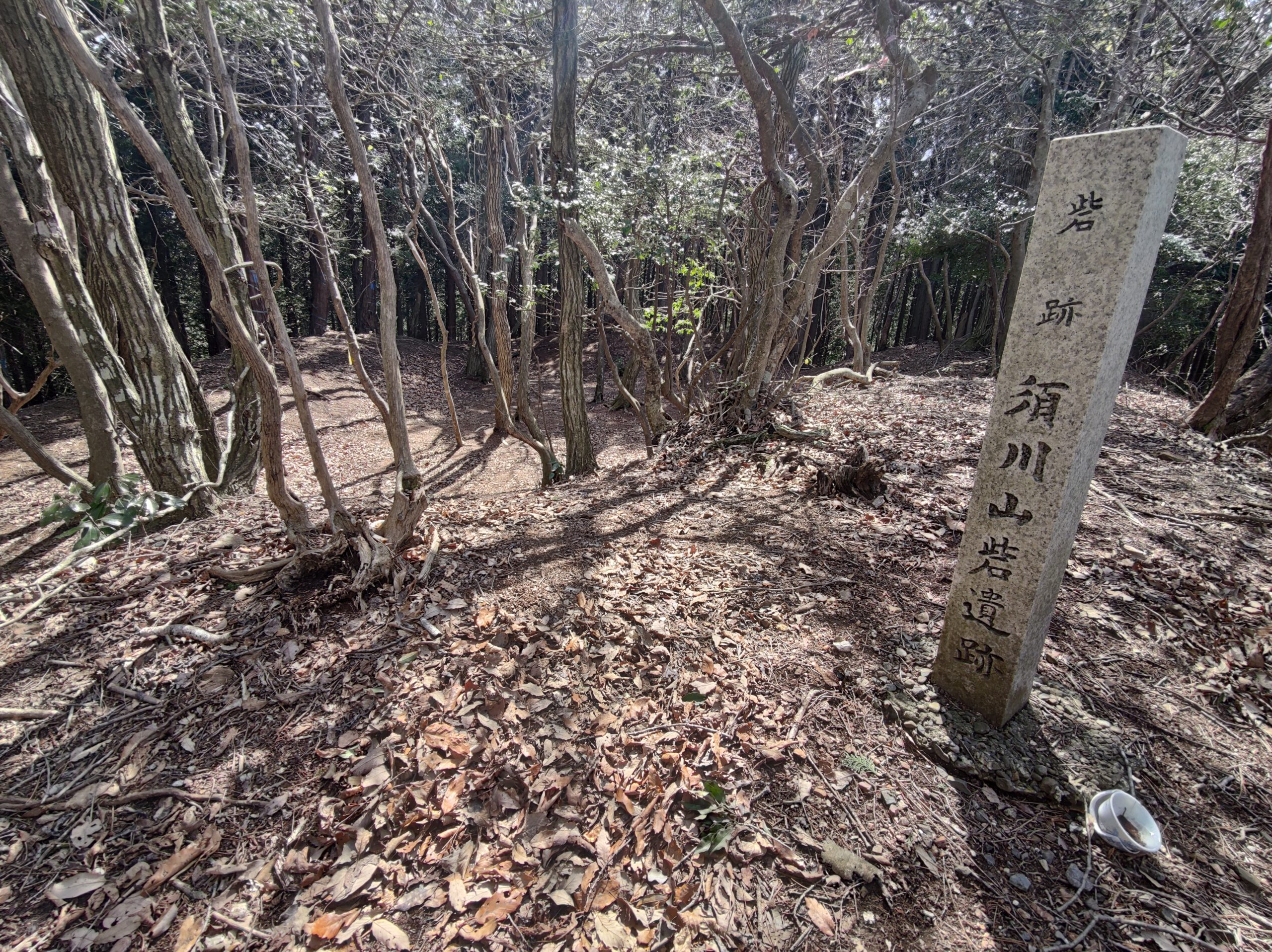 須川山砦跡