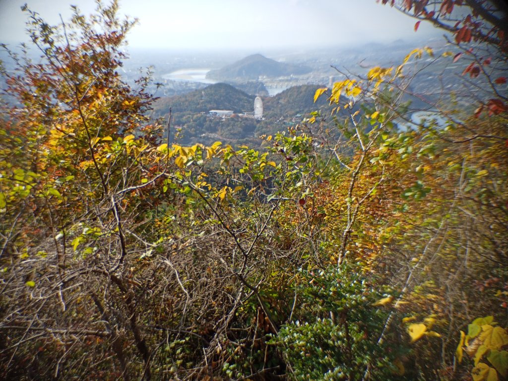 継鹿尾山山頂からの風景