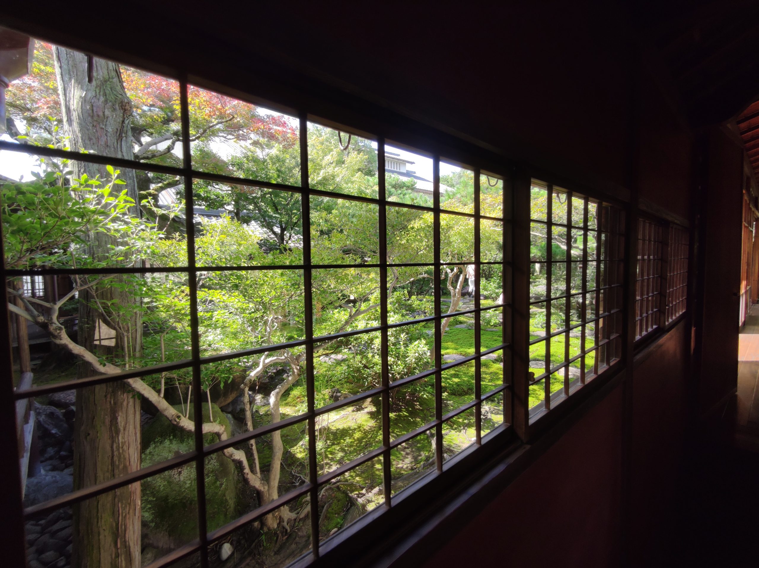 旧林家住宅の日本庭園