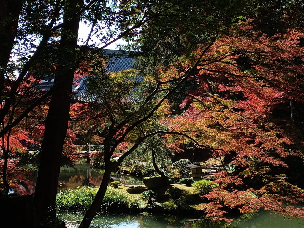Garden of Konkai Komyoji Temple
