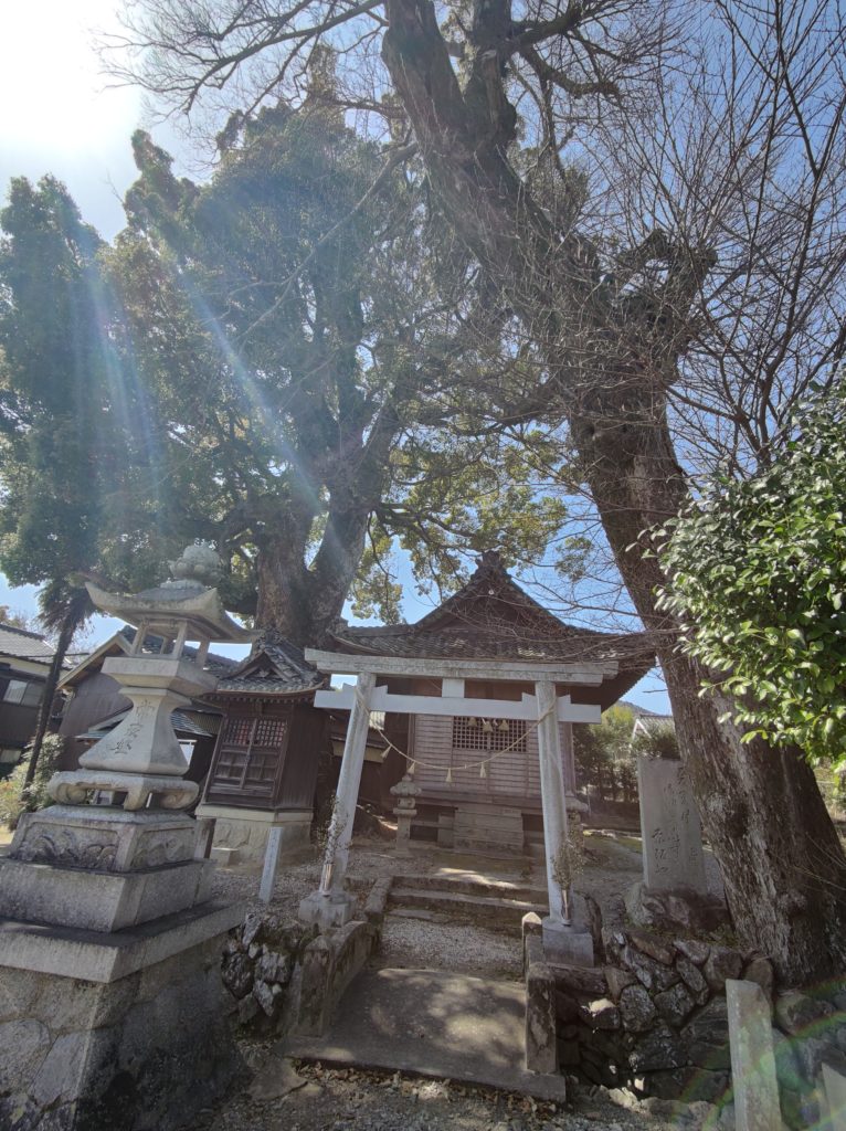 関川神社とクスノキ