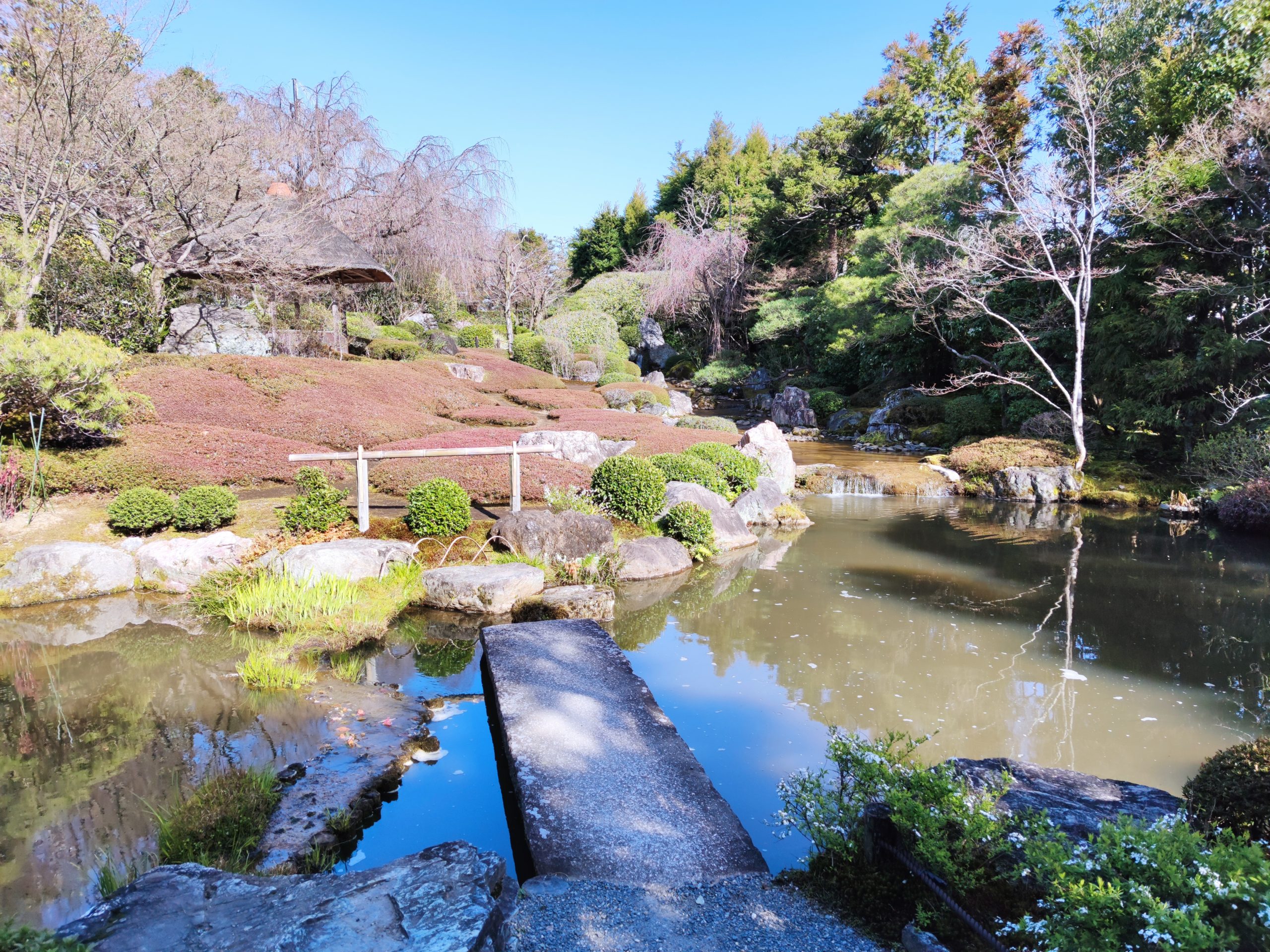 Taizo-in garden
