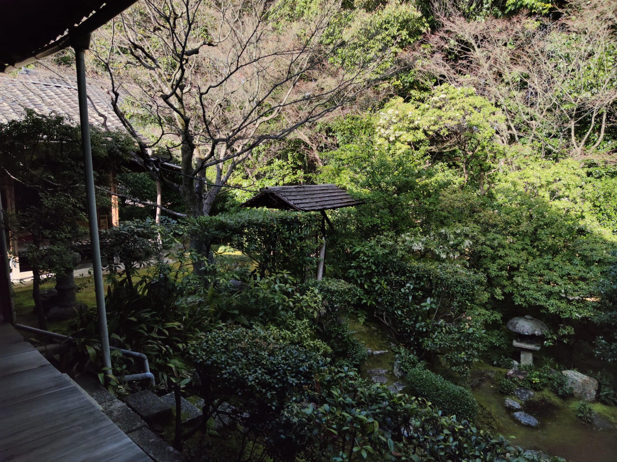 Keishun-in Garden