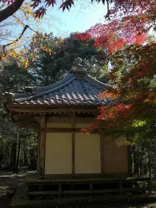 白山神社付近の紅葉
